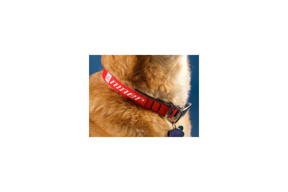 NINER Hundehalsband, Large, 17" - 27"